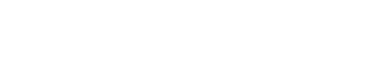 Ned Group SE